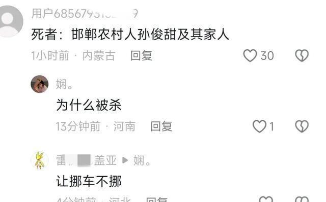 河北某村庄发生刑案致三人死亡事件，深度分析与反思