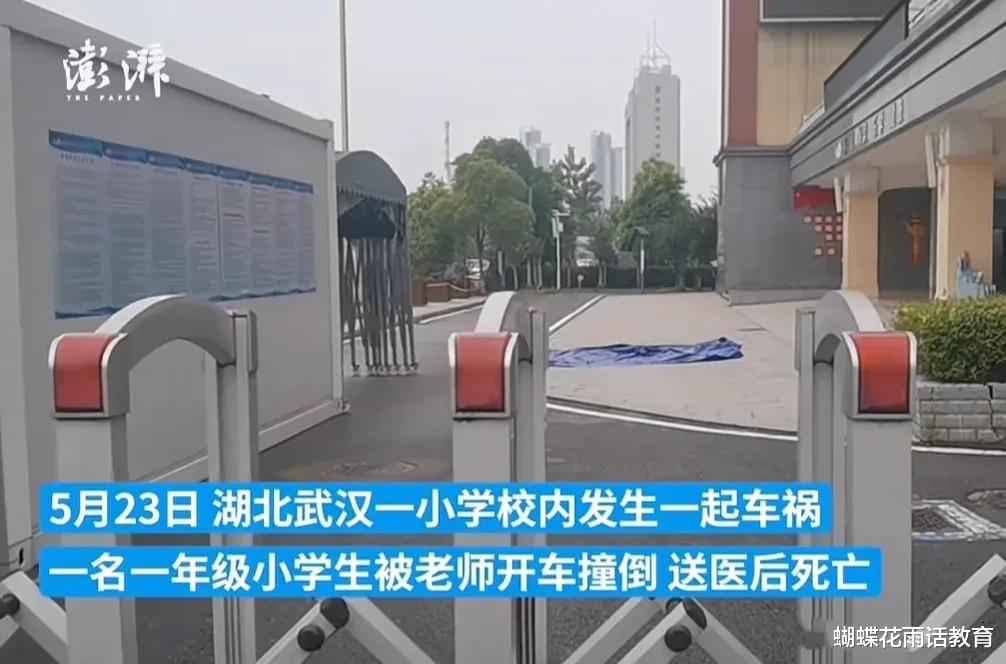 教师驾车撞倒三名孩子致一死两伤事件，深度分析与反思的警钟敲响