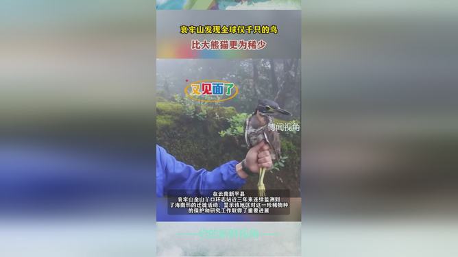 宠物食品加工设备 第1087页