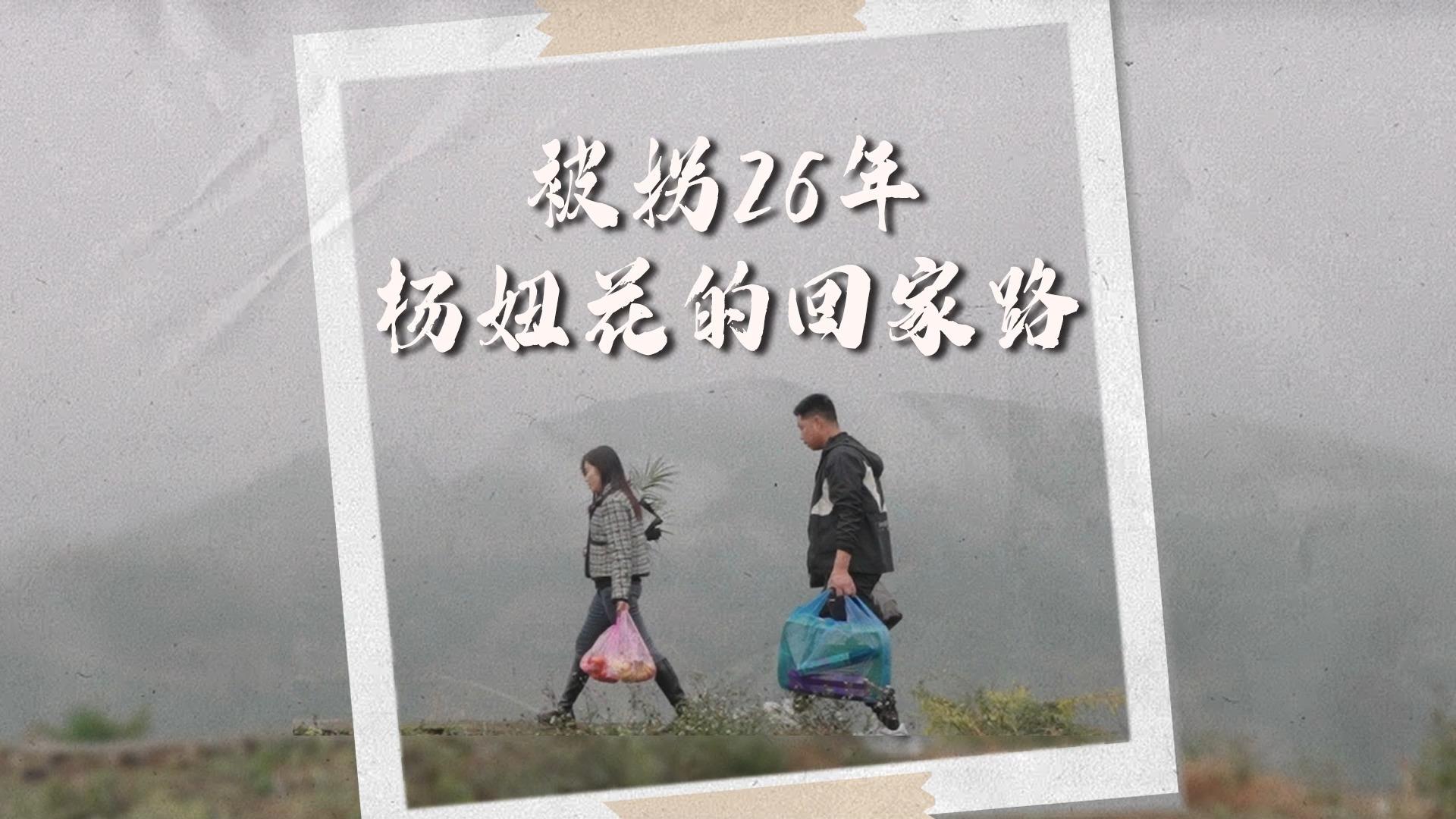 杨妞花直播回顾被拐经历，逆境中的坚韧与成长之路