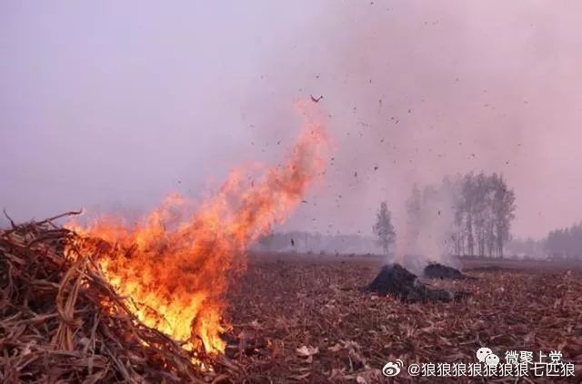 湖南某地秸秆焚烧政策引发关注，当地回应与解读