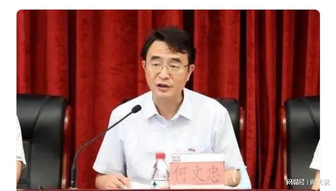 何文忠被双开，靠军工谋私利，人生逆袭与挑战背后的反思与启示