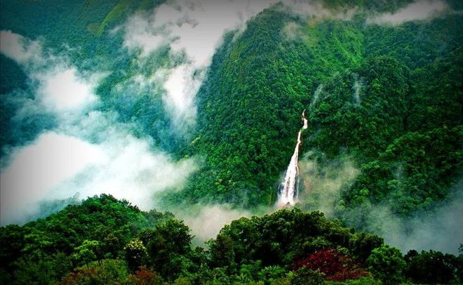 哀牢山神秘科考之旅，鸟鸣如人语，探寻自然之谜