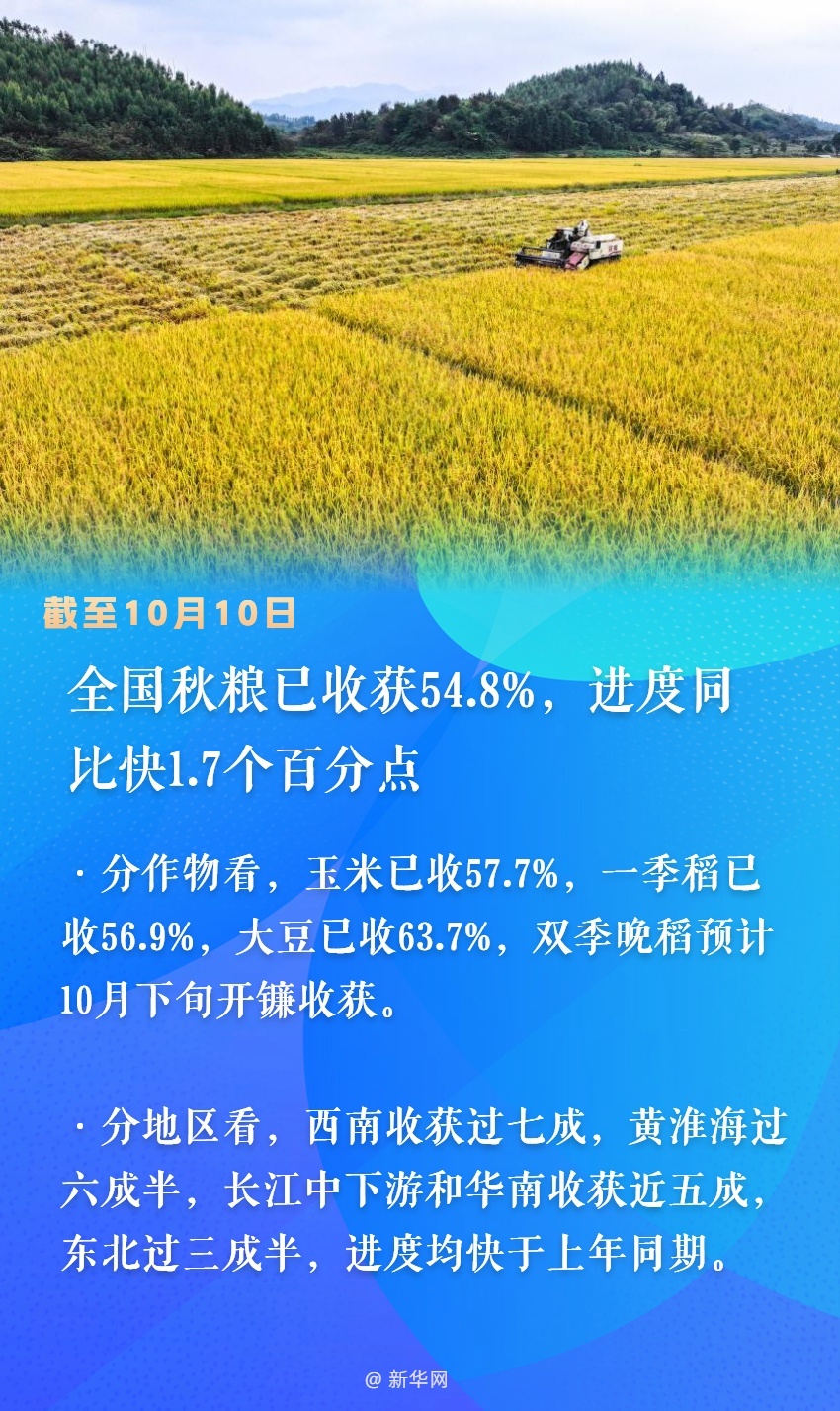 全国秋粮丰收之际，探访小巷特色小店，惊喜宝藏等你来探索
