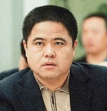 副市长54岁辞职外逃背后，揭秘举报市委书记的真相与故事