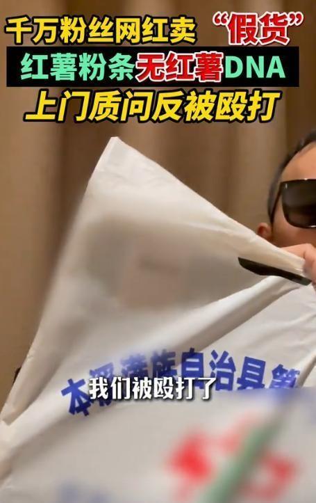 东北雨姐粉条厂家停产停业指南，从初学者到进阶用户的实用步骤与注意事项