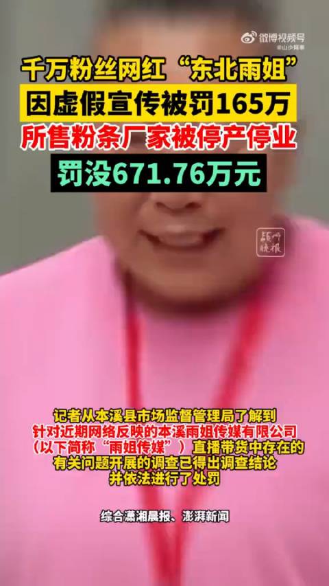 东北雨姐粉条梦遇波折，意外罚款背后的温情故事与厂家处罚揭秘
