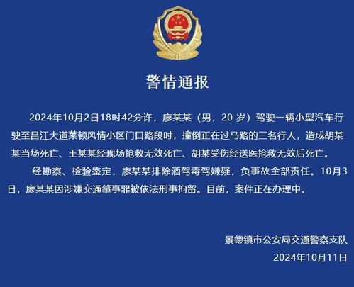 景德镇警方通报一家三口被撞身亡事件，处理步骤详解，初学者与进阶用户指南