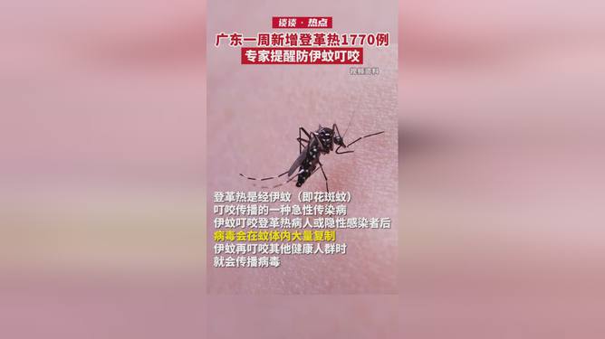 广东一周新增登革热病例达1770例，自然探索之旅成缓解担忧之选