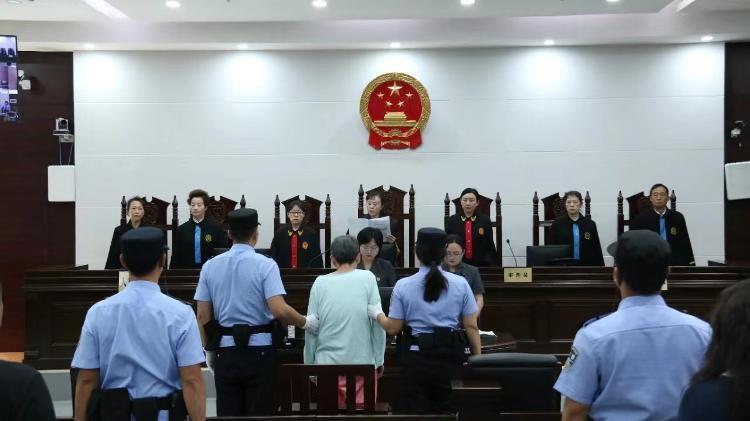 余华英死刑判决流程详解，从公诉建议到判决，初学者与进阶用户指南