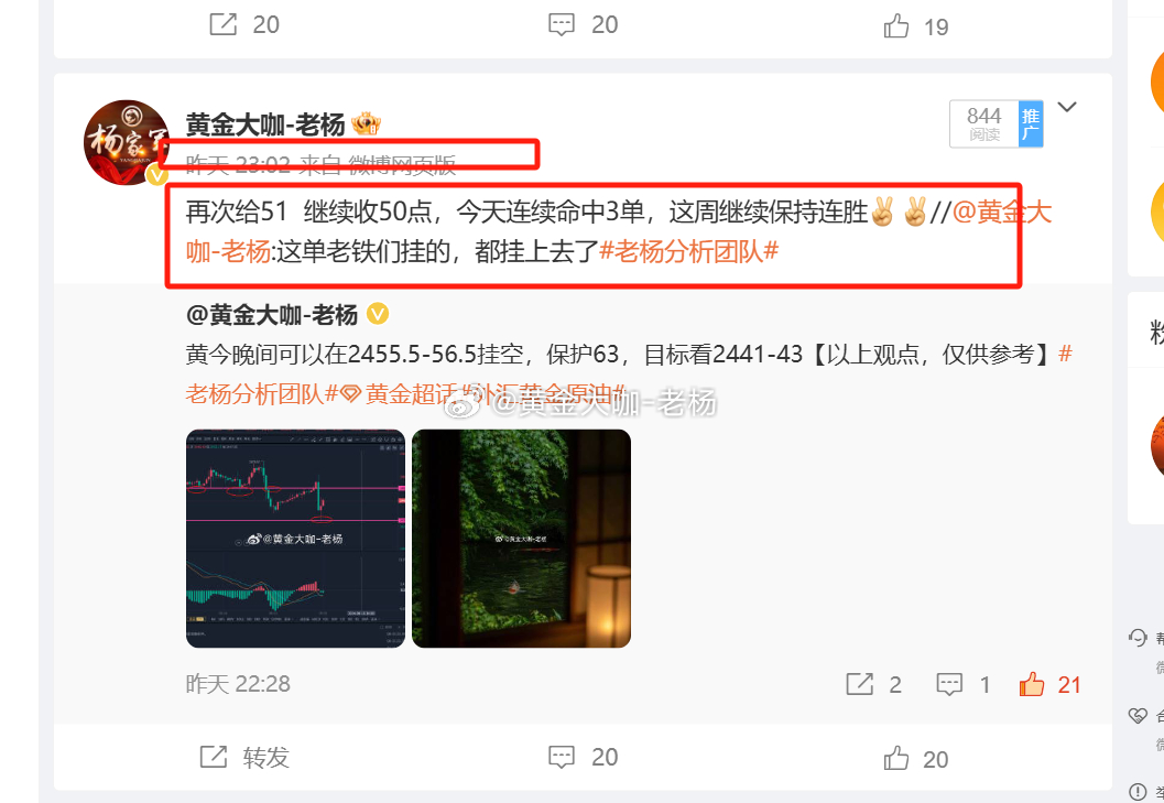 一肖一码100%准免费公开，效率资料解释落实_iPad12.55.19