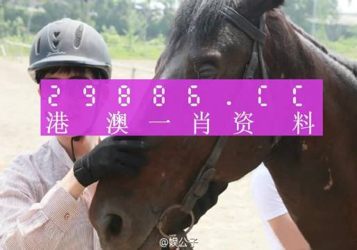 斩拌机厂家 第1038页