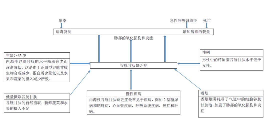 澳门最精准免费资料,综合数据解析说明_设计型2.983