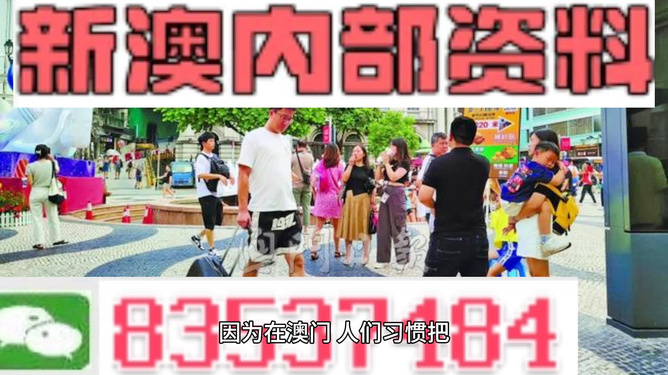 新澳门资料大全正版资料2024年最新版下载,精准解析解读_完美版78.663
