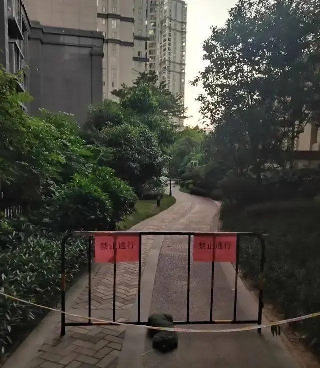 男孩小区地灯漏电悲剧引发父亲寻找内心平静的旅程