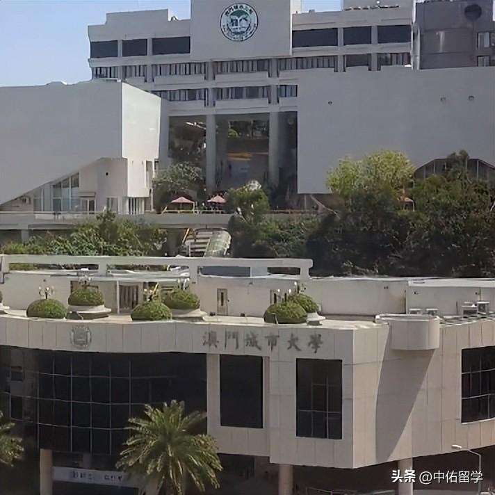 澳门一码一码100准确2024,科学依据解释定义_授权版7.786