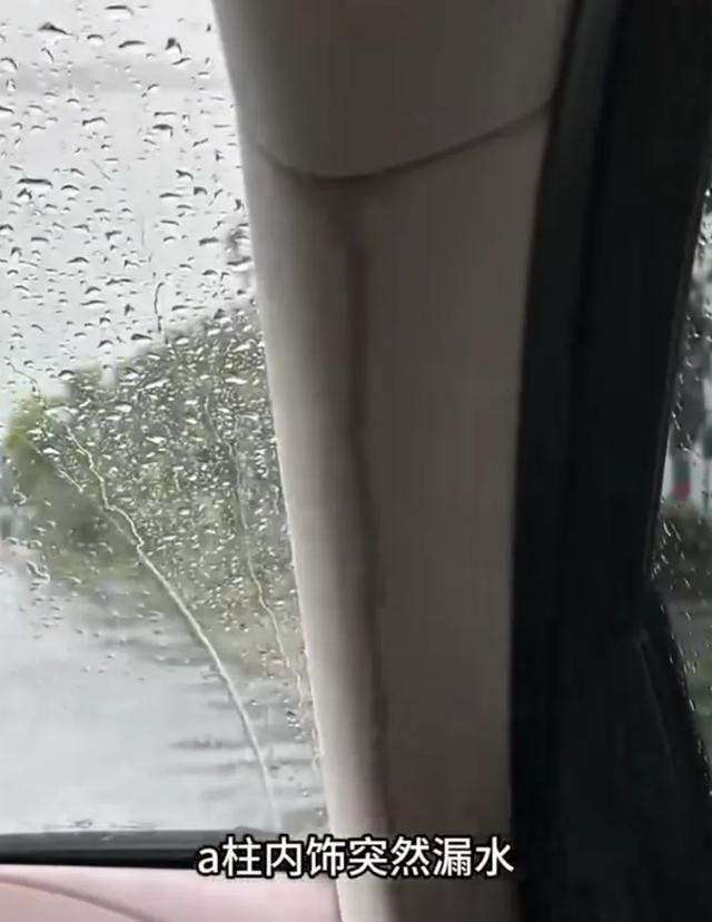 漏水迈巴赫车主退款退货索赔事件，多方立场探讨与深度解析