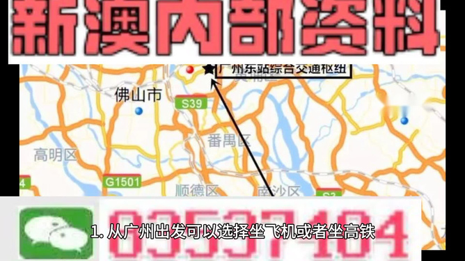 2024新澳今晚资料鸡号几号,动态解析说明_显示品16.258