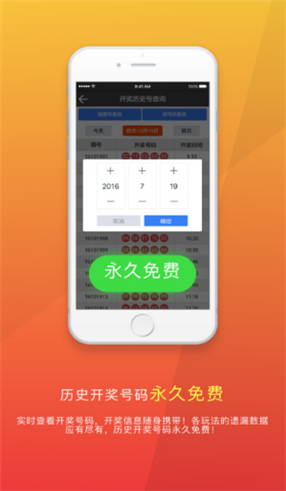 蓝月亮正版精选资料大全,指导性解答落实途径_纪念制0.658