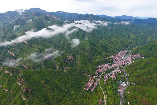 苍术最新价格走势，自然美景下的旅行探索与价格变动分析