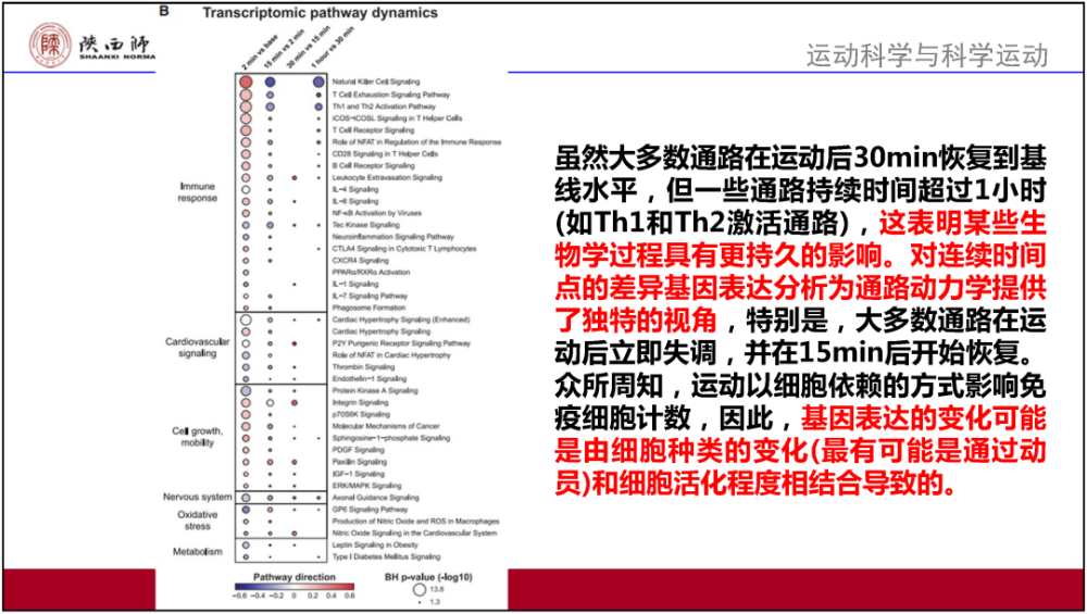 2024新奥精准资料免费大全078期,权威解读说明_创新制37.428