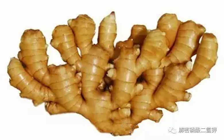 云南生姜最新价格揭秘，市场行情概览与趋势分析