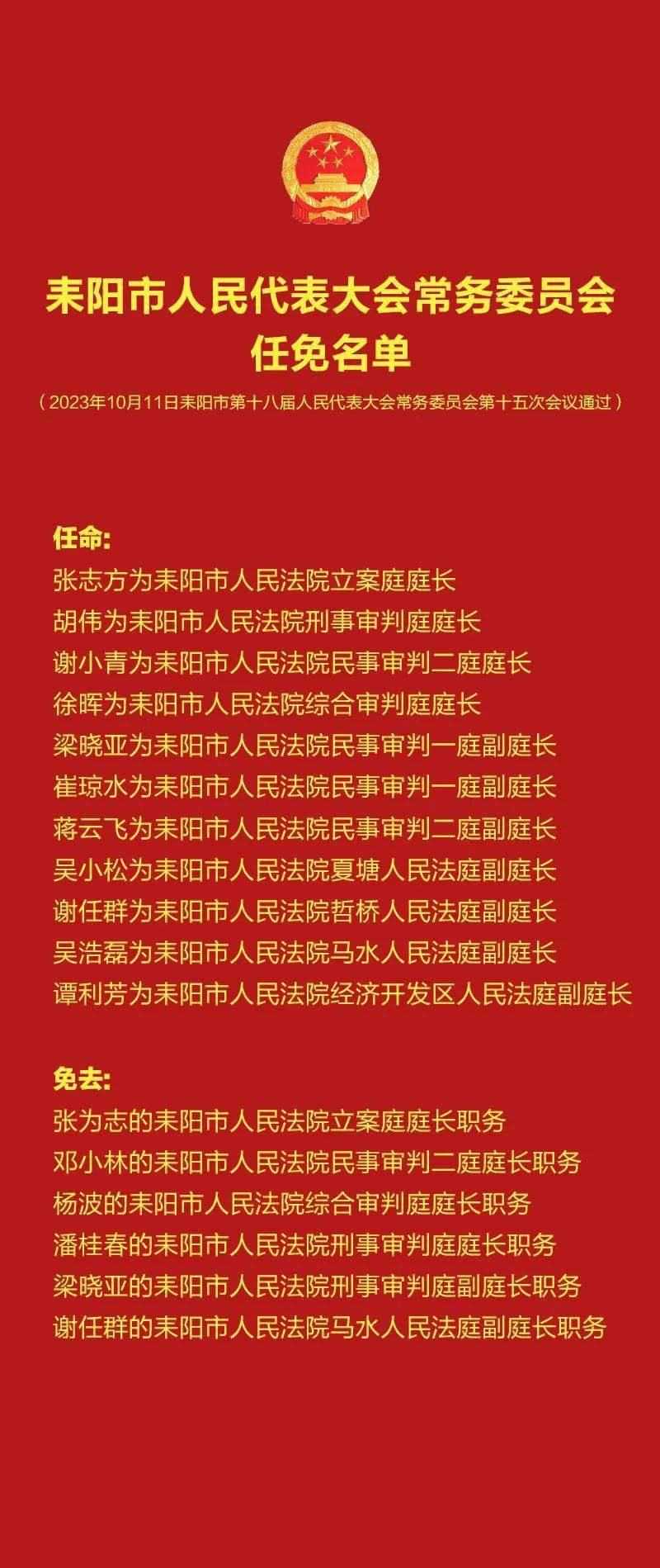 衡阳最新人事任免，多维度视角下的观点分析