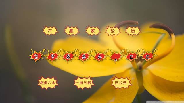 4949澳门今晚开奖,最新信息解答解释探讨_终止版8.508