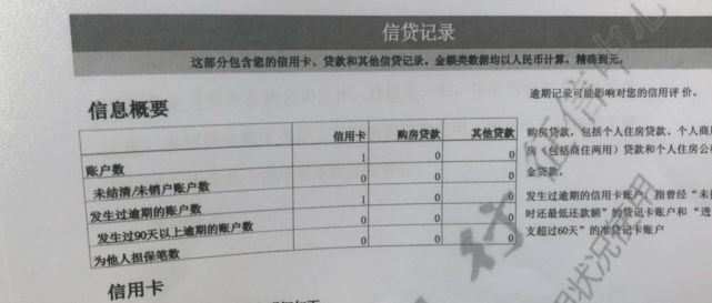 东珠生态最新动态，消息及其影响深度解析
