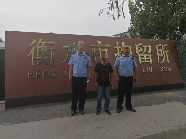 衡水司机招聘最新资讯更新