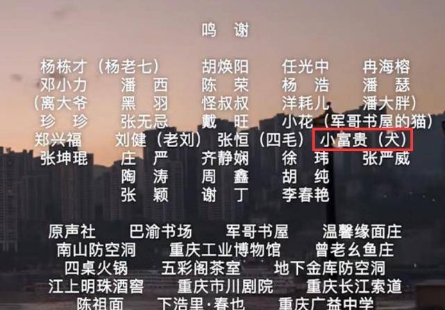 最准一码一肖100%精准老钱庄,多角度研究解答解释路径_试点版4.569