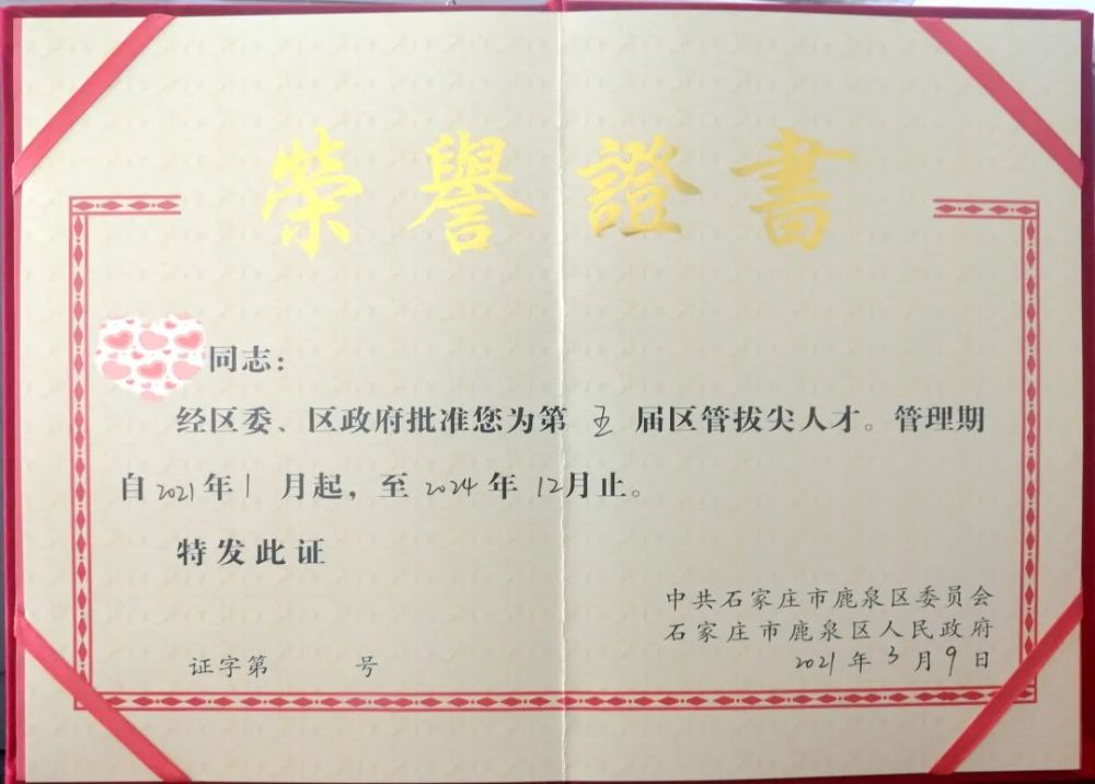 鹿泉招聘网最新招聘动态及解析