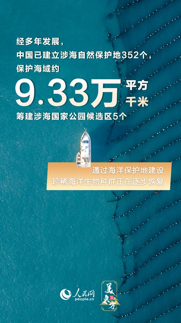 2004新澳精准资料免费提供,高效计划设计实施_名人集21.011