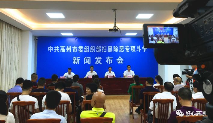 高州最新新闻头条更新，当地时事新闻概览