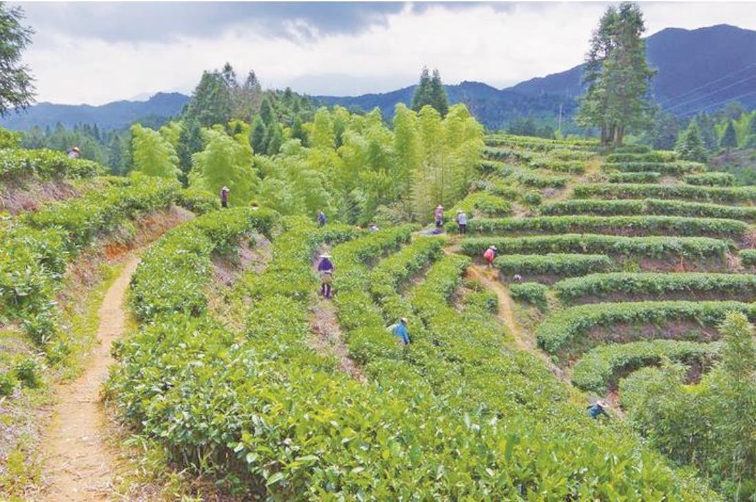 兰溪临时工最新招聘信息