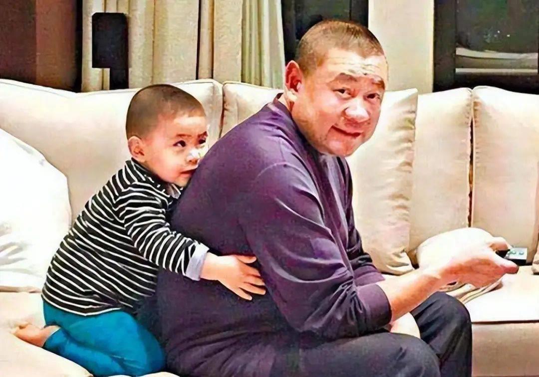 甘比最新照片，自然之旅探寻内心平和之美