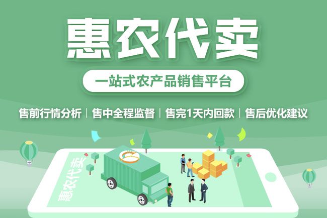 惠农区最新招聘信息大揭秘，小巷中的职业机遇探索
