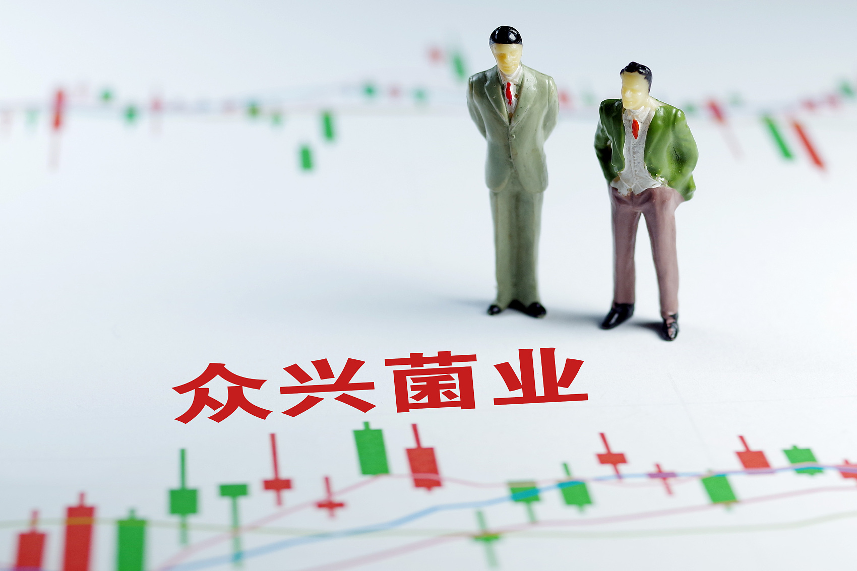 斩拌机厂家 第952页