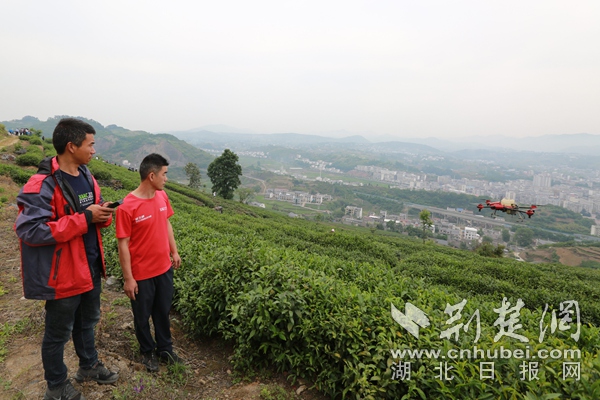 竹山县宝丰镇探索自然美景之旅，最新动态与内心平和的追寻