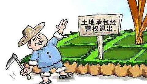 最新土地承包法全文详解，步骤指南与全文概览