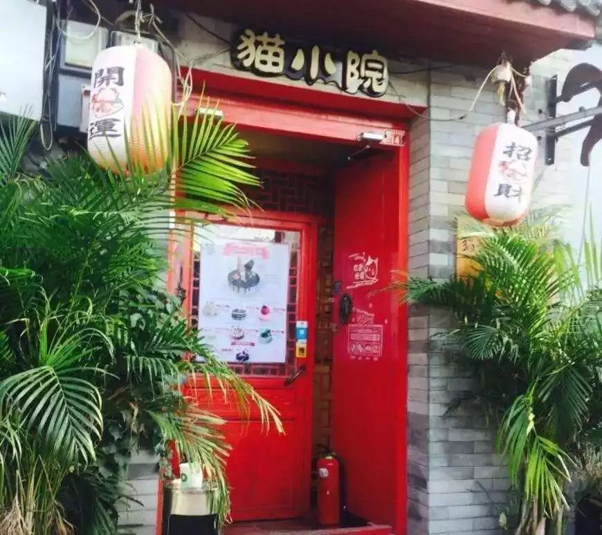 票票喵探秘小巷特色小店，最新发现与惊喜分享