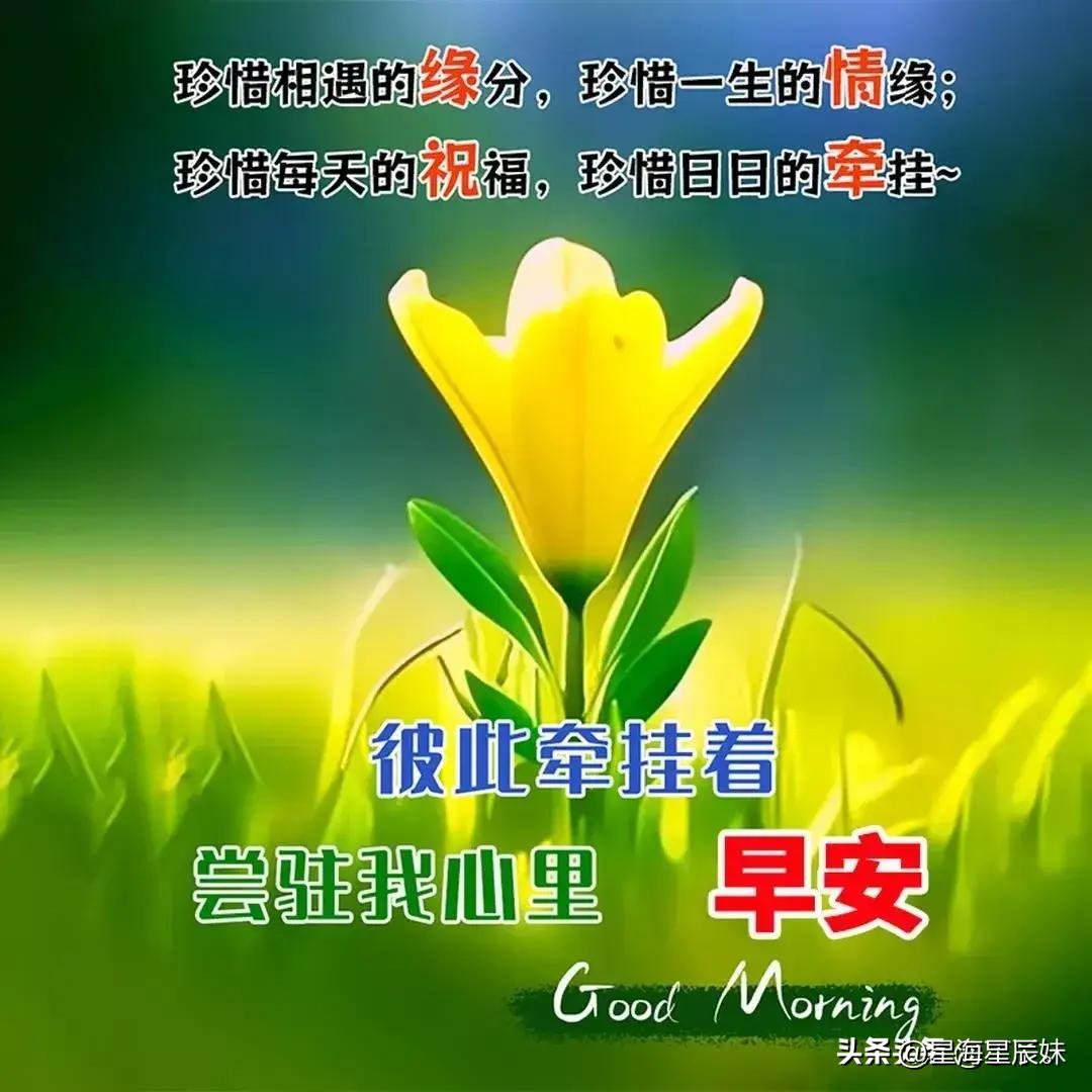 斩拌机厂家 第938页
