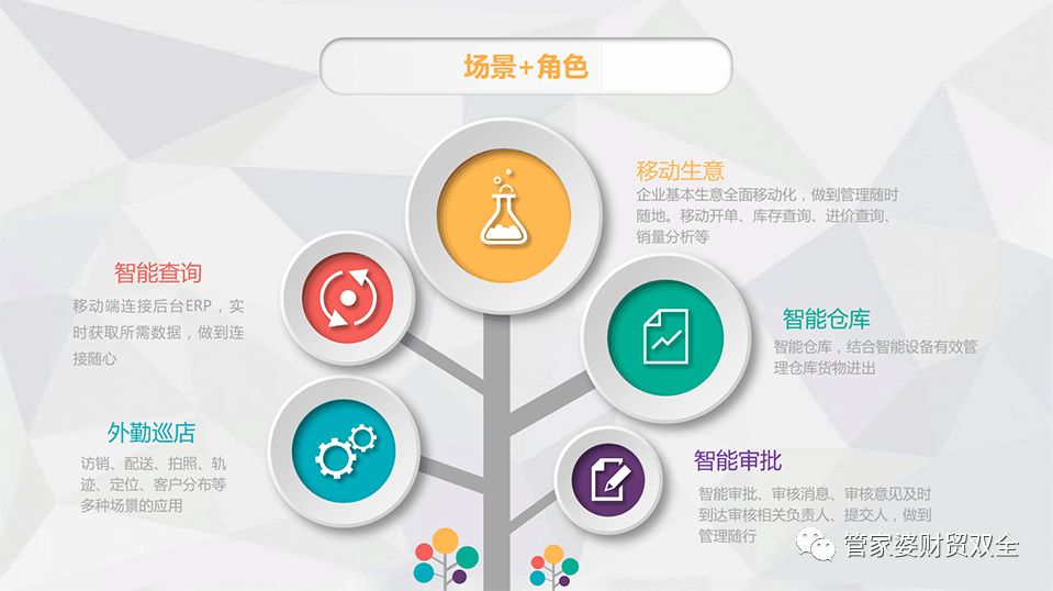 管家婆一肖一马资料大全，灵活解析设计_户外版45.29.56