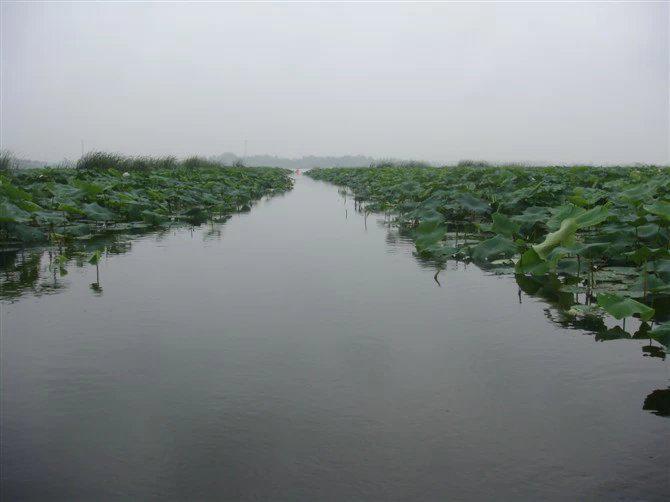 中国最新经济新闻，探索自然美景之旅，寻找内心平和之地