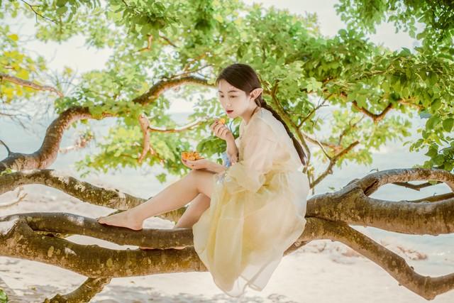 苹果最新款手机价格揭秘，探寻内心平静的旅程启动点