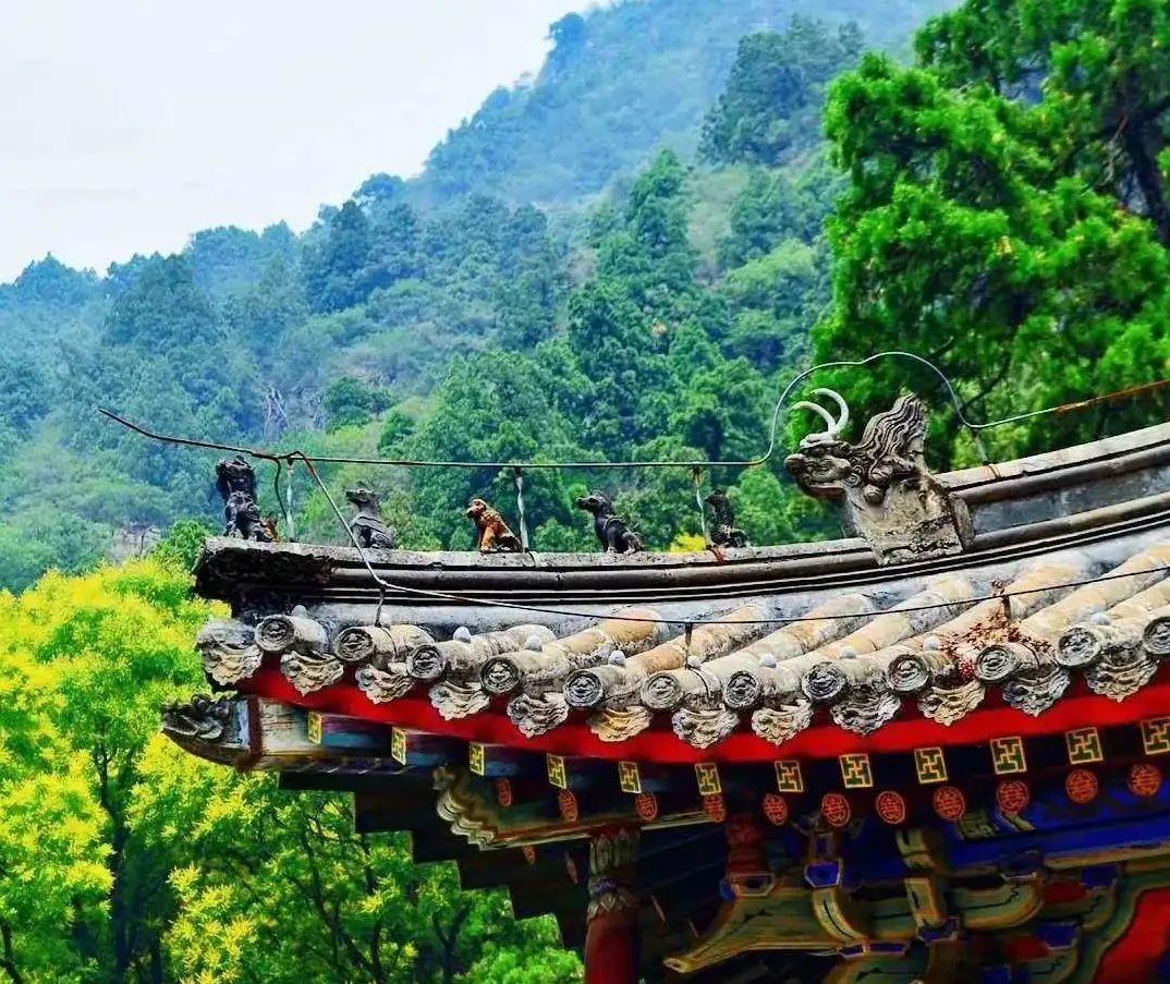 房山区最新招聘信息揭秘，小巷中的宝藏工作机遇探索！