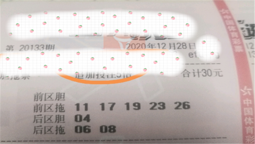 2024新奥彩开奖结果记录,全新方案解析_创新版YHS133.8