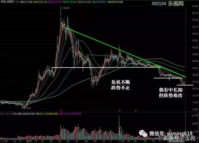 神开股份最新动态揭秘，小巷深处的独特风味与隐藏版特色小店的神秘面纱