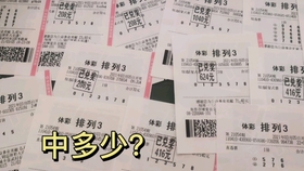 2024澳门天天开好彩大全凤凰天机,规则最新定义_传统版166.58