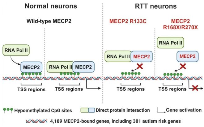 新奥彩资料免费最新版,综合数据说明_可变版SDR997.66